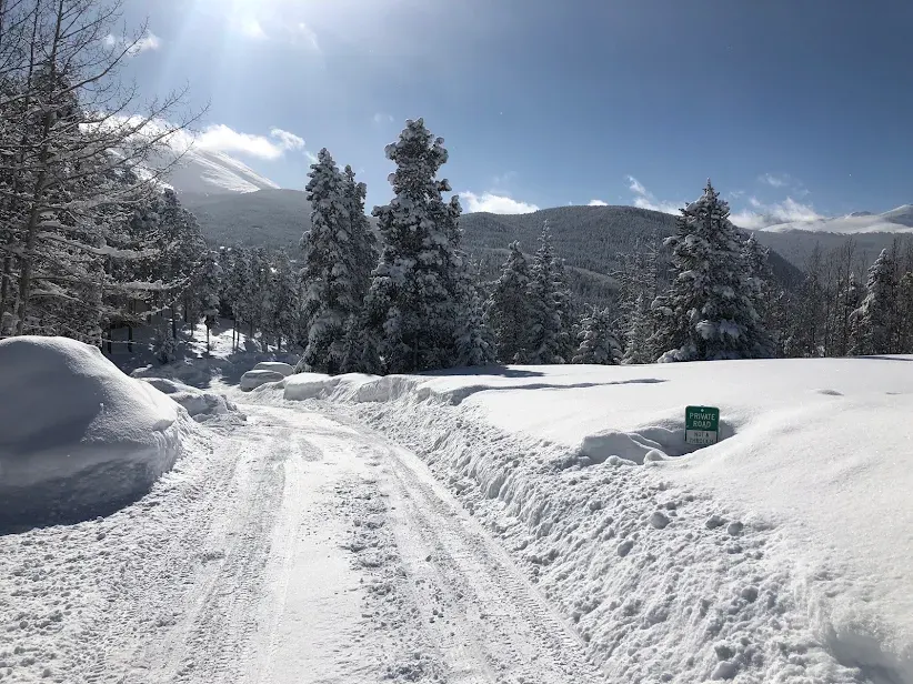 A plowed private road through deep snow with snow-covered pines and mountains behind